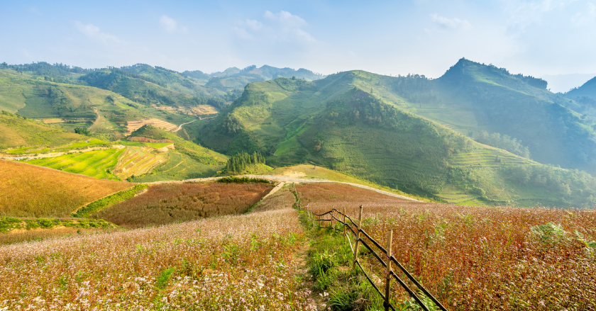 Du lịch Hà Giang có gì đẹp? - Đồng Văn