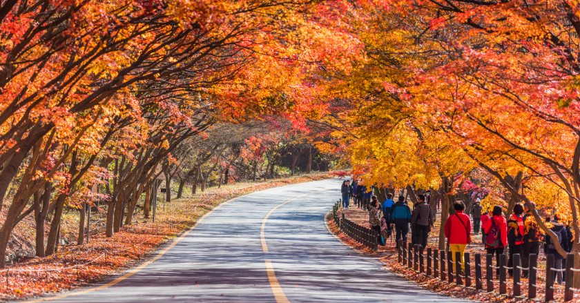 Du lịch Hàn Quốc bao nhiêu tiền?