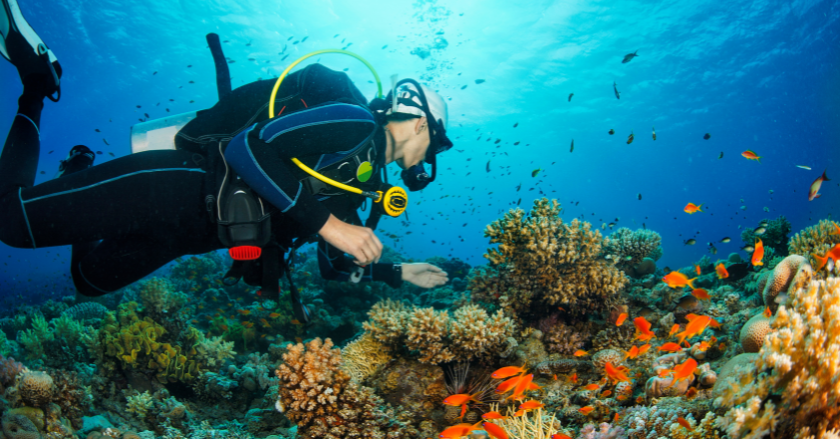 Du lịch Nha Trang nên đi đâu?