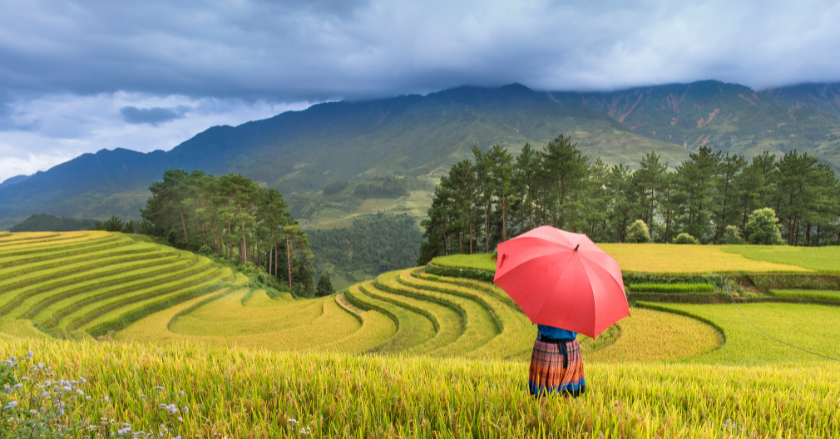 Du lịch Sapa mùa nào đẹp?