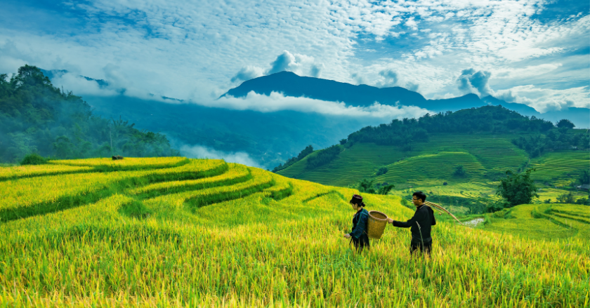 Du lịch Sapa mùa nào đẹp?