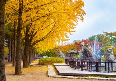 Tour Hàn Quốc: SEOUL - NAMI