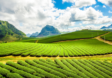 Tour Mộc Châu - Điện Biên