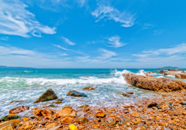 Tour Quy Nhơn - Bình Định