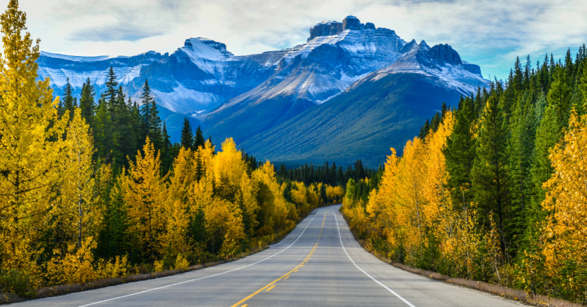 VISA CANADA: Thủ tục và hướng dẫn đăng ký từ A-Z