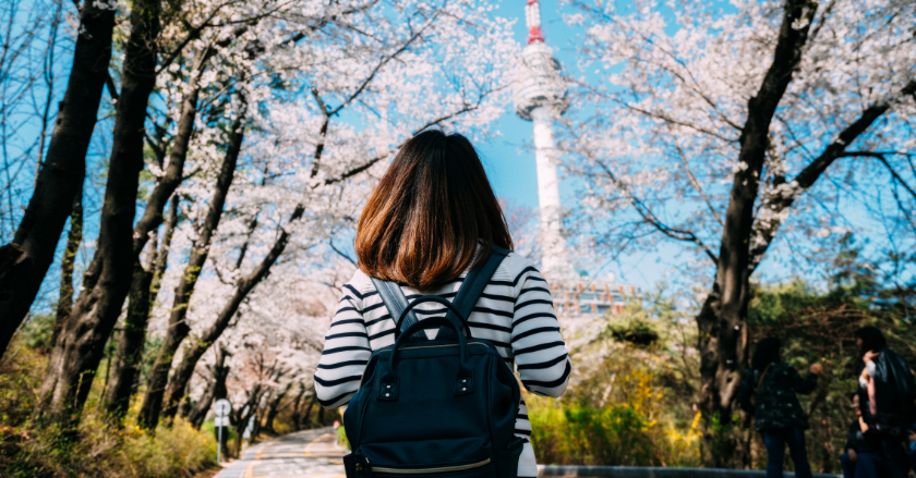 VISA HÀN QUỐC: Thủ tục và hướng dẫn đăng ký từ A-Z