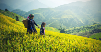 Du lịch Sapa mùa nào đẹp?